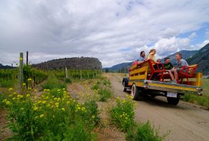 Family in back of old orchard psick up truck driving through vineyard